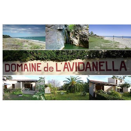 Domaine De L'Avidanella Apartment Santa-Lucia-di-Moriani Luaran gambar