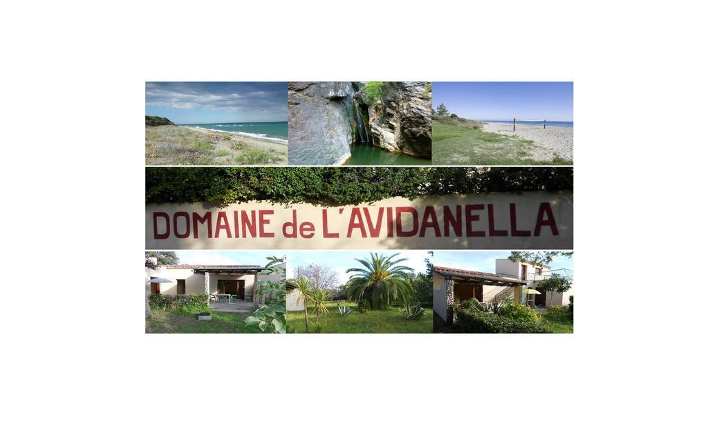 Domaine De L'Avidanella Apartment Santa-Lucia-di-Moriani Luaran gambar